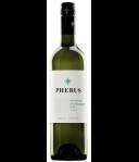 Phebus Chardonnay Mendoza